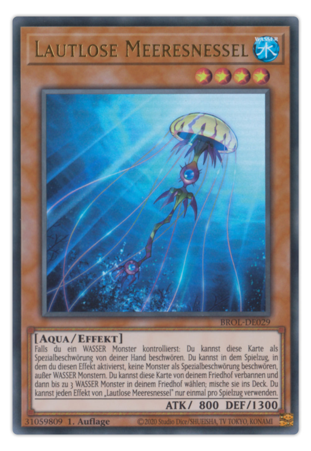 Bild von BROL-DE029 Lautlose Meeresnessel