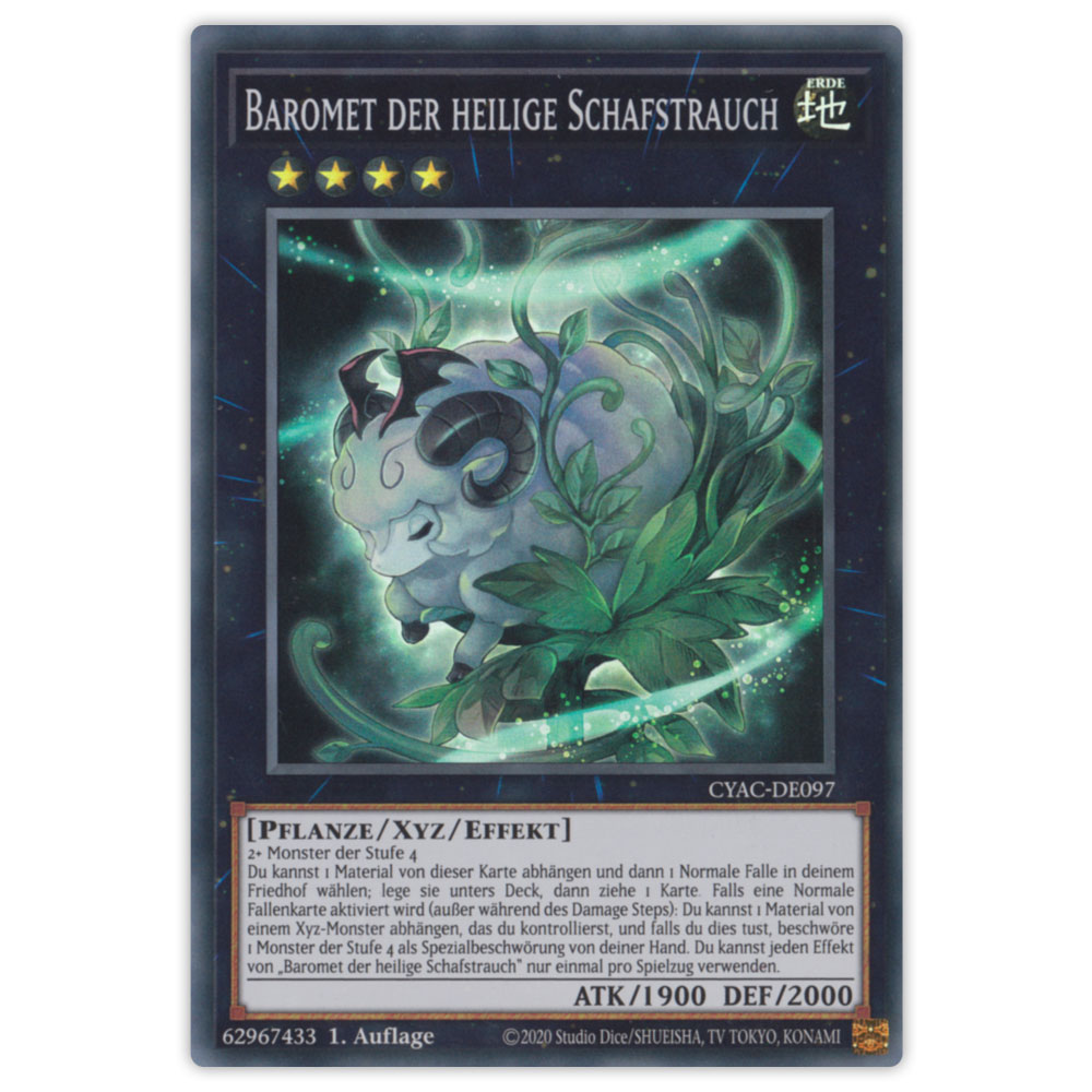 Bild von CYAC-DE097 Baromet der heilige Schafstrauch