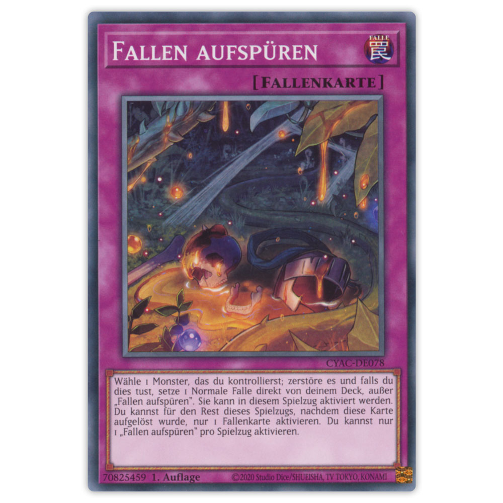Bild von CYAC-DE078 Fallen aufspüren